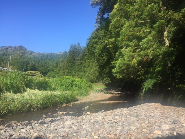 蕎麦道楽百古里庵(そばどうらく すがりあん)