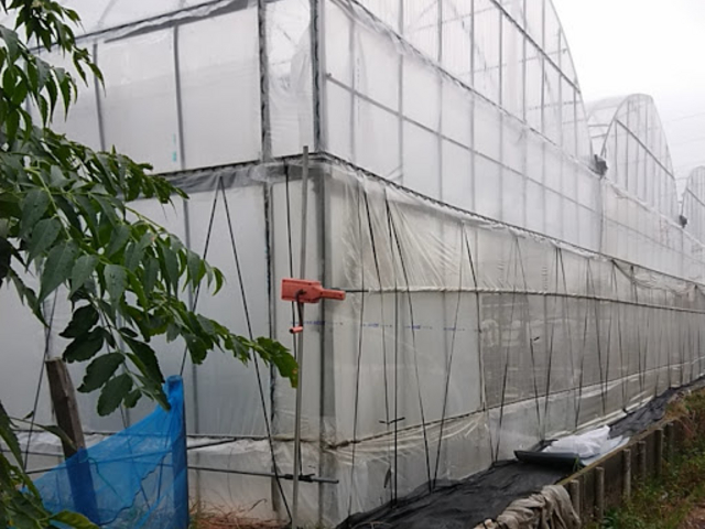 綺麗になりました1_みよしぱくぱくファーム