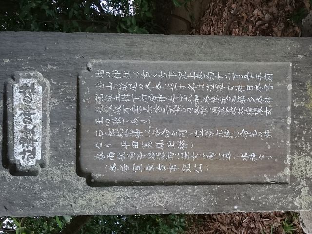 畝尾都多本神社