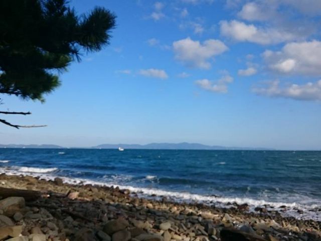 海の家