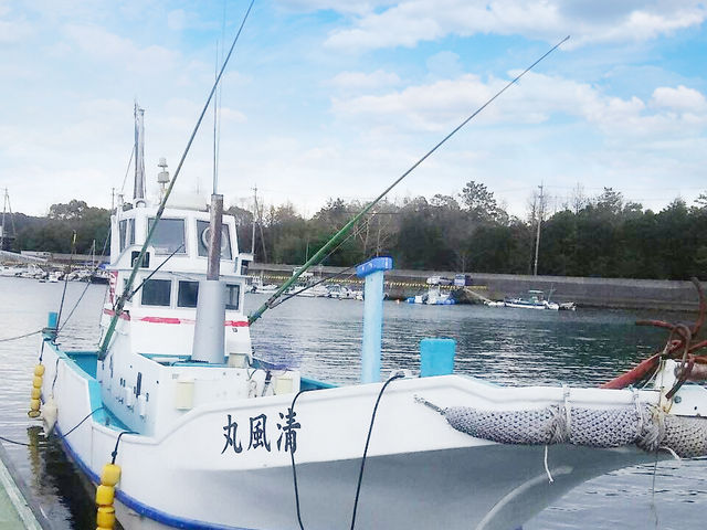 鳥羽フィッシュハンター
