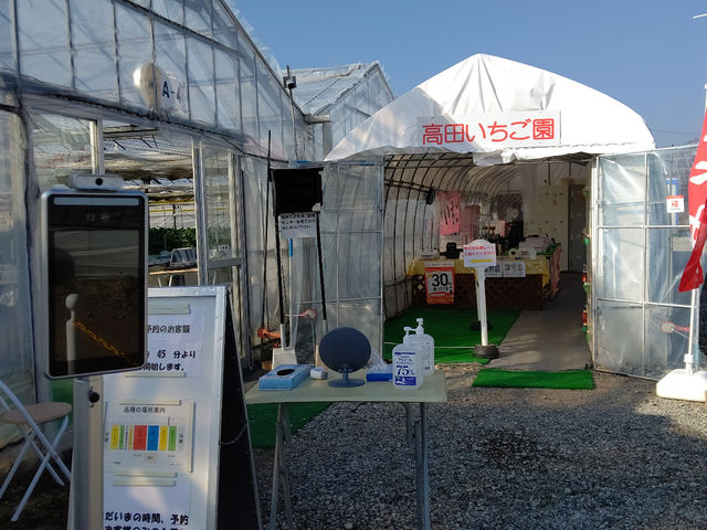 高田いちご園
