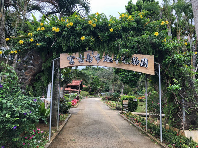 熱帯植物園入口_ベルフォーウエディング