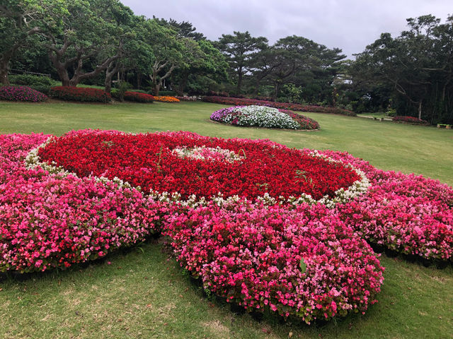12月から5月頃までお花が満開です。_ベルフォーウエディング