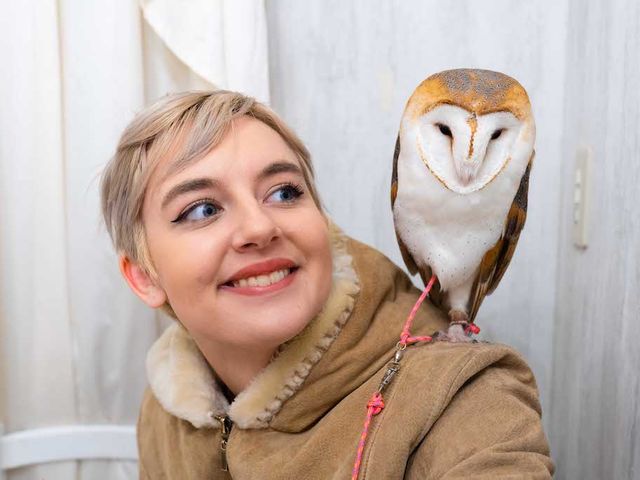 フクロウカフェ アキバフクロウ 秋葉原 肩で寝るのが好きなフクロウ、しらすちゃん_アキバフクロウ フクロウカフェ 東京 Owl Cafe Akiba Fukurou