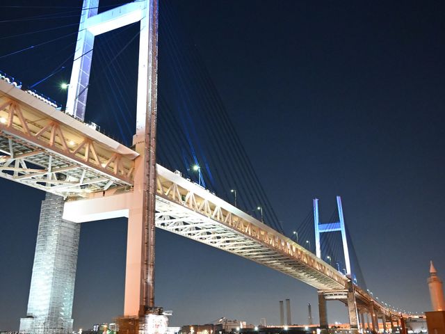 周遊中はベイブリッジの真下を運航していきます_横浜 屋形船 濱進
