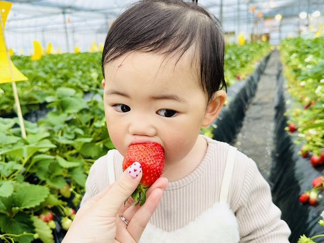 石毛いちご園