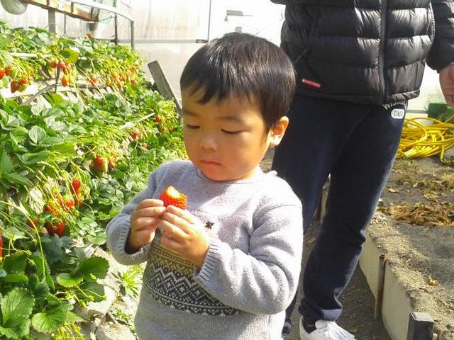 早川農園