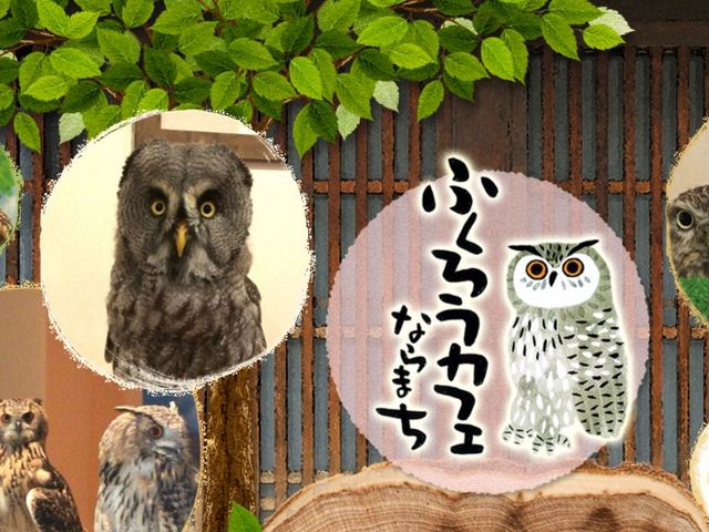 ならまち保護どうぶつ園