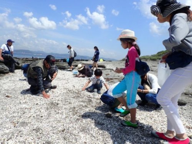 島の西側は貝がらが集まるシェルビーチ。_たてやま・海辺の鑑定団