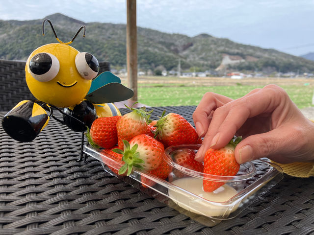 天気の良い日はサイコーだな!_Farm U.S.A