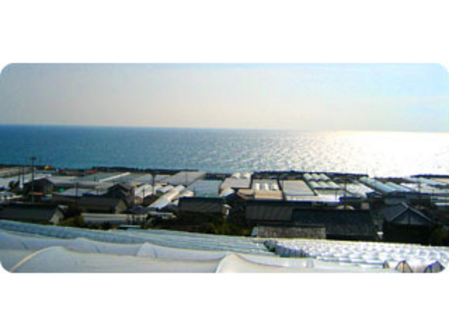 原農園
