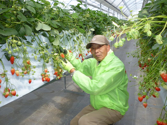 園長です!!お子様でも安心して食べられるよう、減農薬に努めています。_あだみね高原ファーム