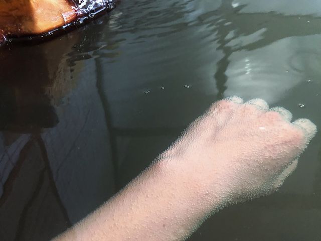 自慢の高濃度炭酸泉は入って数分で気泡が全身を包みます_佐賀大和温泉ホテル&アマンディ