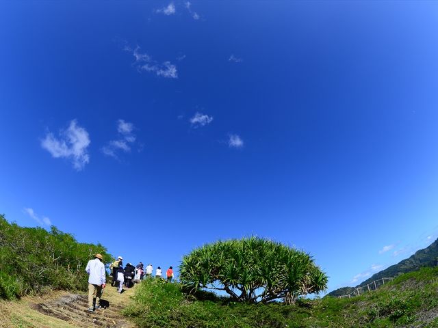 三日月山展望台この先からは父島の玄関口、二見湾を一望できます_ボニンブルーシマ