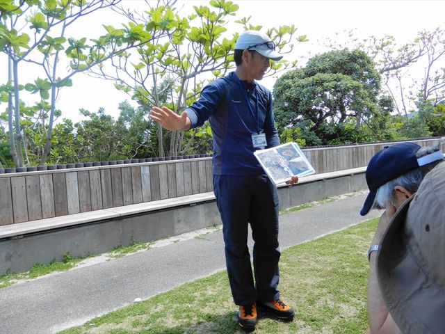 ガイドのしまちゃん_ボニンブルーシマ