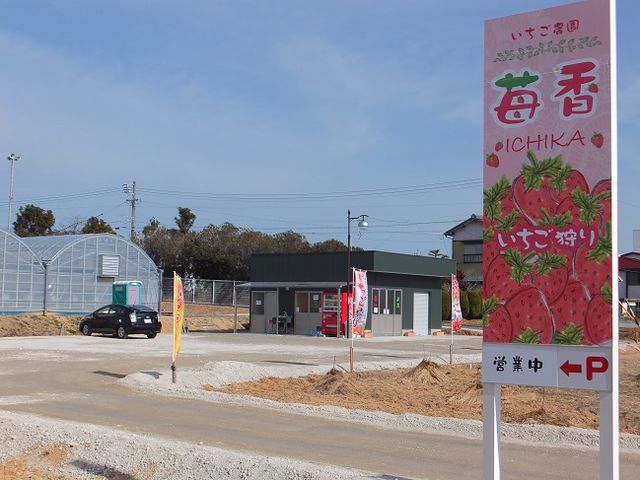 いちご狩り農園苺香