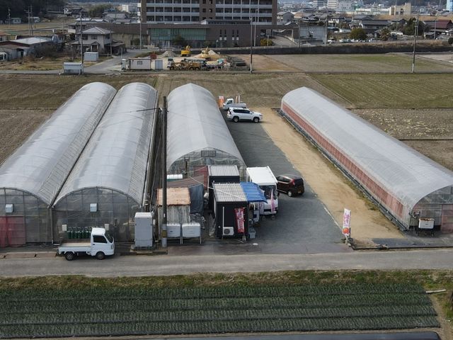 立花いちご農園