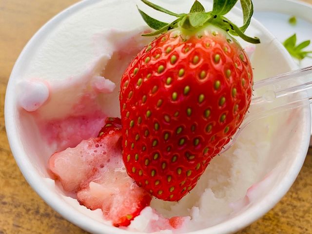 グルメいちご館前田