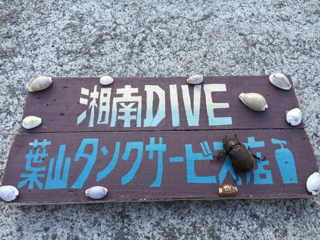 葉山ダイビングサービス