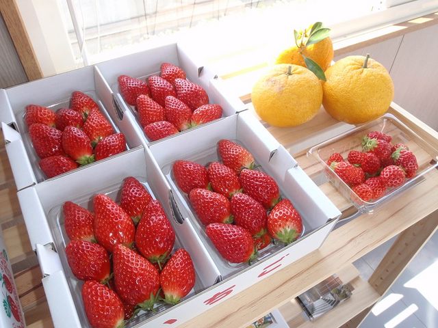 直売のいちご♪_Berry Gardens