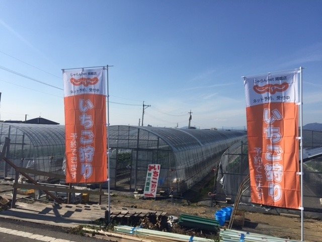 岩村苺農園