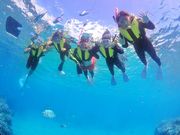 EGGダイビングショップの写真3