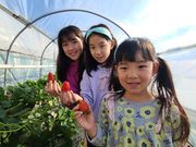 じゃらんnet いちご狩りパーク&いちごcafe久能屋の写真2