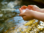 からつ温泉旅館綿屋の写真3