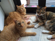 KALAMA Glass Art Studioの写真3