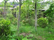 陶工房 勝 の写真2