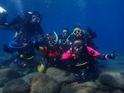 ダイビングサービスmieuxみうの写真4