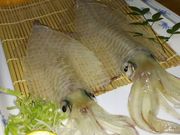 漁師民宿 大慶の写真2