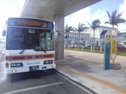 有限会社カリー観光の写真2