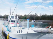 鳥羽フィッシュハンターの写真3