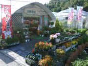 河野園芸の写真4