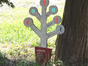 cotolaの写真2