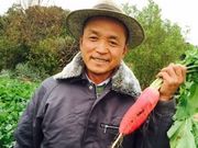 イイジマ農園の写真2