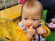 市東農園いちごの直売の写真4