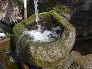 南阿蘇トーマス農園の写真3