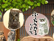 ならまち保護どうぶつ園の写真2