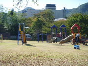さくら並木公園の写真1