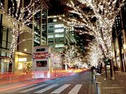 LONDON BUS CRUSINGの写真4