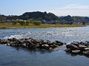 町屋旅館一富士の写真4