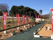 岸井農園の写真3