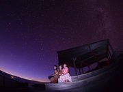 ボニンブルーシマの写真3