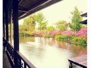 人吉温泉 しらさぎ荘の写真3