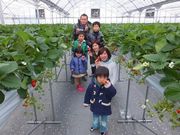いちご狩り農園苺香の写真3
