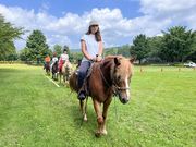 ホワイトストーンR.C.の写真2