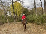 ホワイトストーンR.C.の写真3